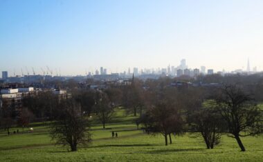 Primrose-hill