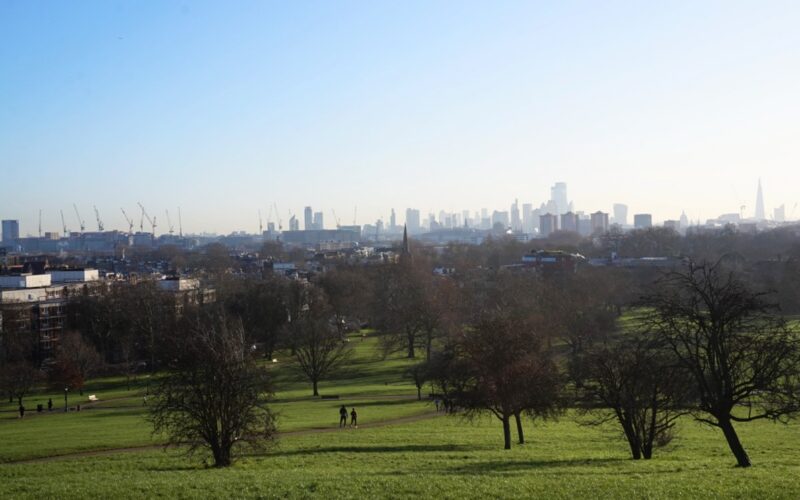 Primrose-hill