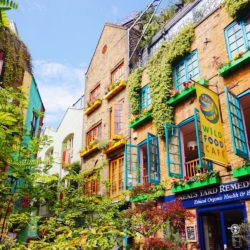 Neal's-Yard Neal's-Yard