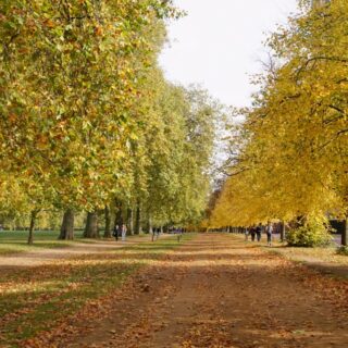 Balades d’automne à Londres : mes 6 préférés