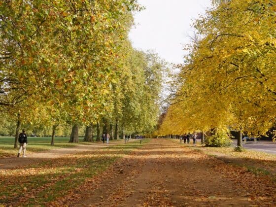 Balades d’automne à Londres : mes 6 préférés
