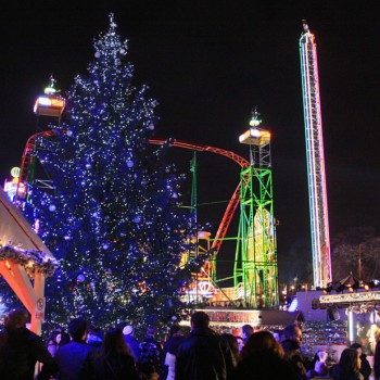 Winter wonderland Winter wonderland