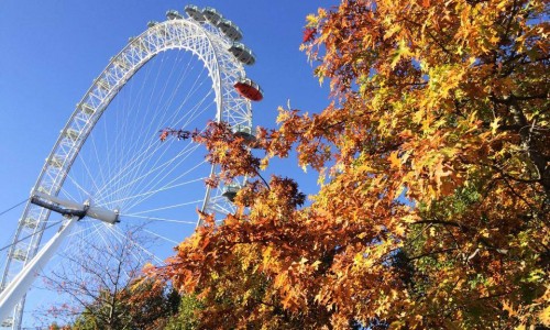 London Eye2 London Eye2