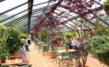 Petersham-Nurseries_10