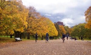 Londres-en-Novembre-3