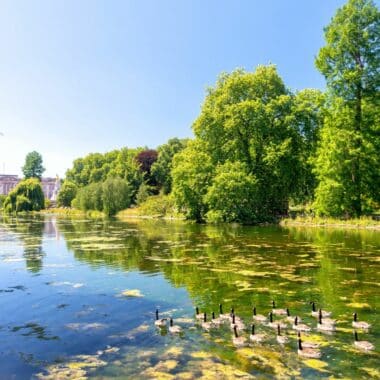 parcs-de-Londres-BAN